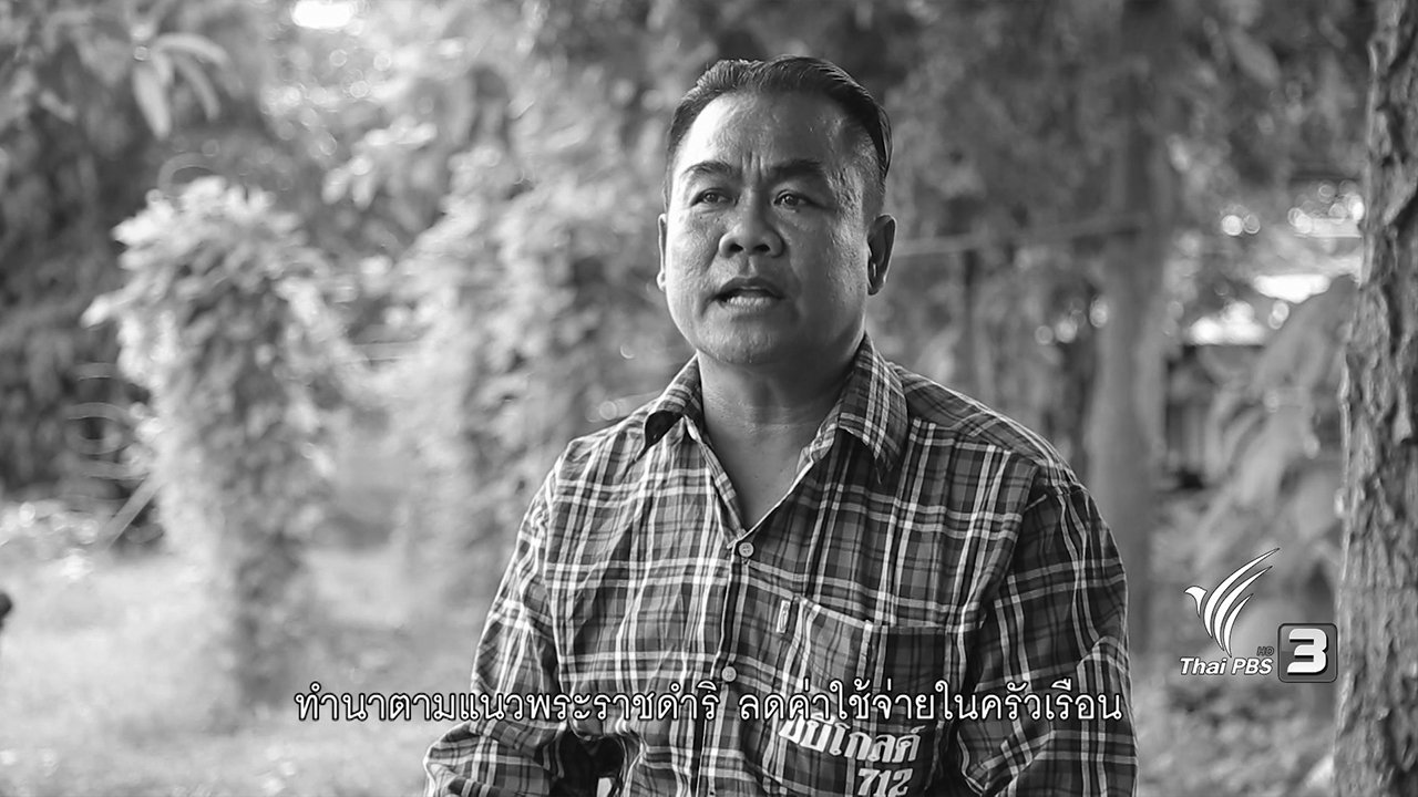 ปลูกวันแม่ เกี่ยววันพ่อ - วันแม่หว่านเมล็ด ที่ภาคกลาง