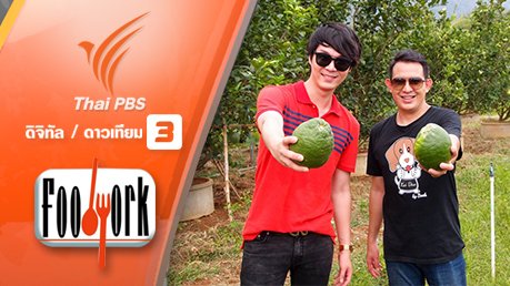 ผักโมโรเฮยะ เเละมะนาวยักษ์