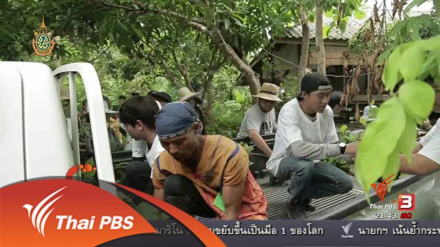 นักข่าวพลเมือง : ฟื้นฟูป่าต้นน้ำแม่ปิง "เติมต้นไม้ให้ป่าว่าง" จ.เชียงใหม่