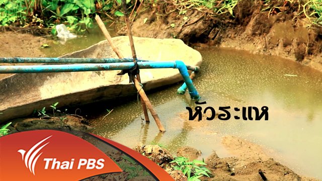 ยุทธการลดสู้แล้ง : ตอนที่ 6 (4/4)