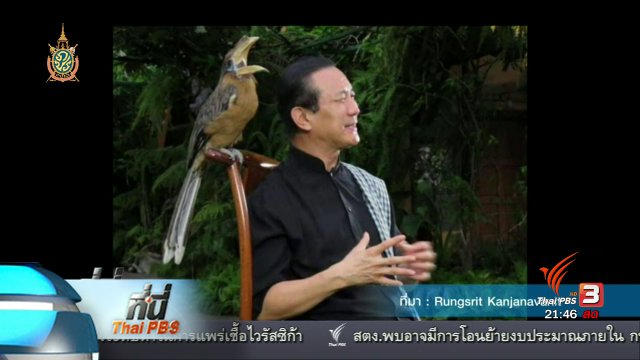 ที่นี่ Thai PBS : เตรียมขอหมายศาลตรวจค้นนกเงือก