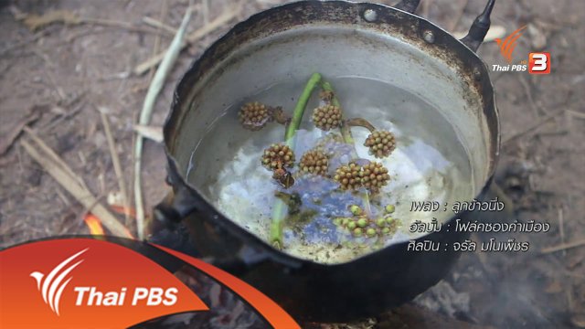 ตะลุยทั่วไทย : 16 มิ.ย. 59