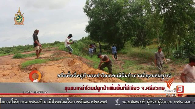 นักข่าวพลเมือง : ชุมชนเหล่าโดนปลูกป่าเพิ่มพื้นที่สีเขียว จ.ศรีสะเกษ