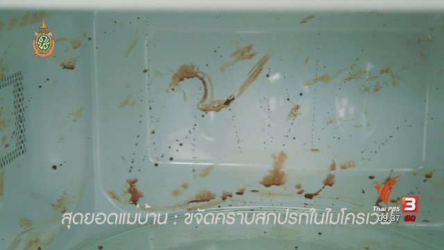 นารีกระจ่าง : สุดยอดแม่บ้าน: ขจัดคราบสกปรกในไมโครเวฟ
