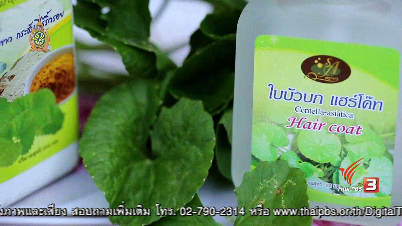 คนสู้โรค - คนสู้โรค : วิสาหกิจชุมชนสมุนไพรบึงพระ