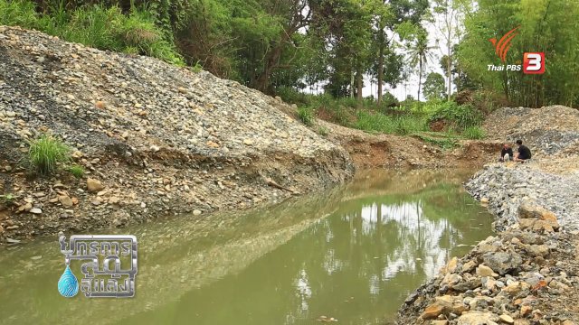 ยุทธการลดสู้แล้ง : เมื่อฝนแรกของปีตกลงมา พืชผักก็กลับมาชุ่มฉ่ำอีกครั้ง