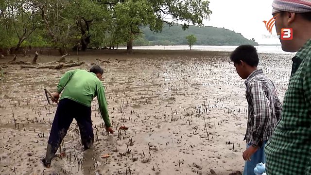 ตะลุยทั่วไทย : ปลาไหลทะเล