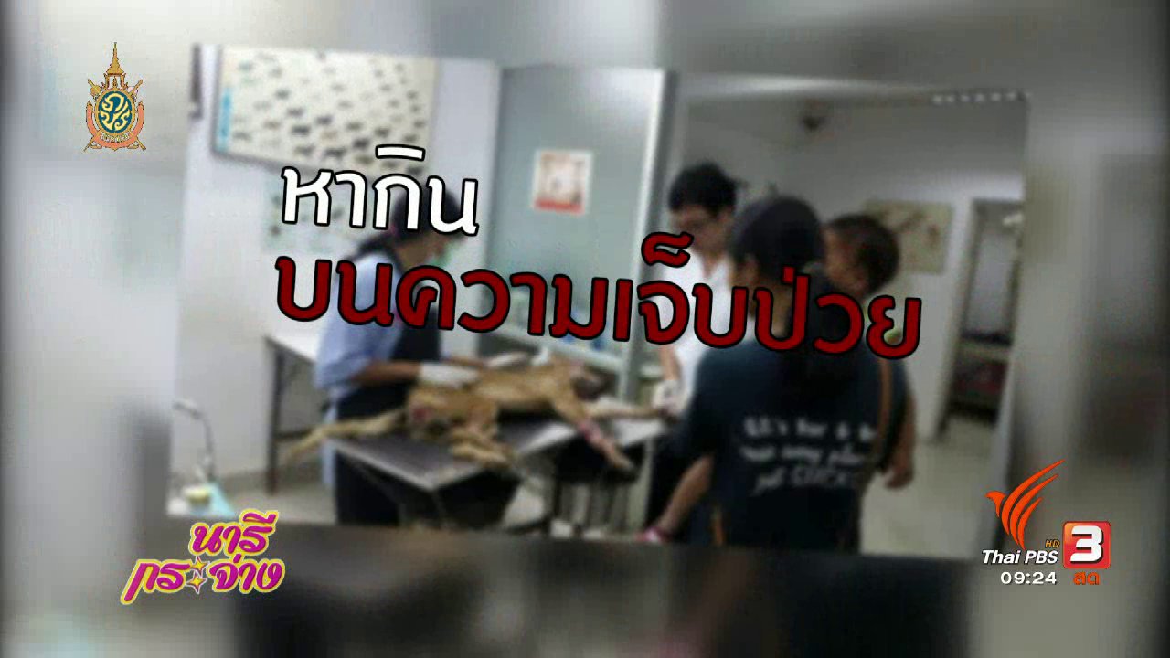 นารีกระจ่าง - ภัยร้ายรอบตัว : หลอกบริจาคให้หมาแมว