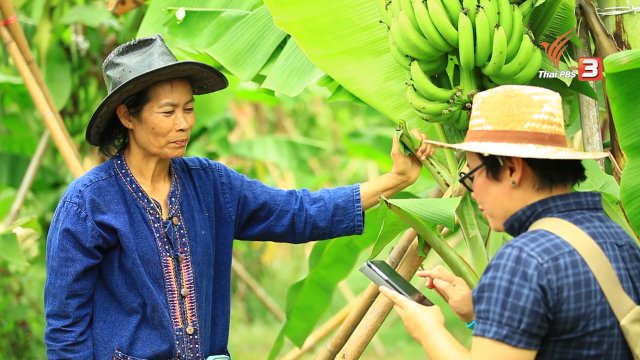 เกษตรกร : "พี่มะปราง"