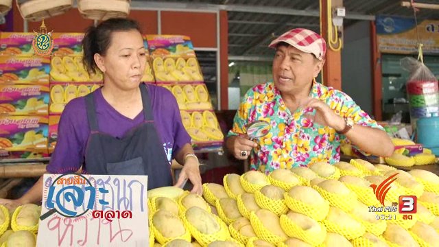 สายสืบเจาะตลาด : ราคามะม่วง