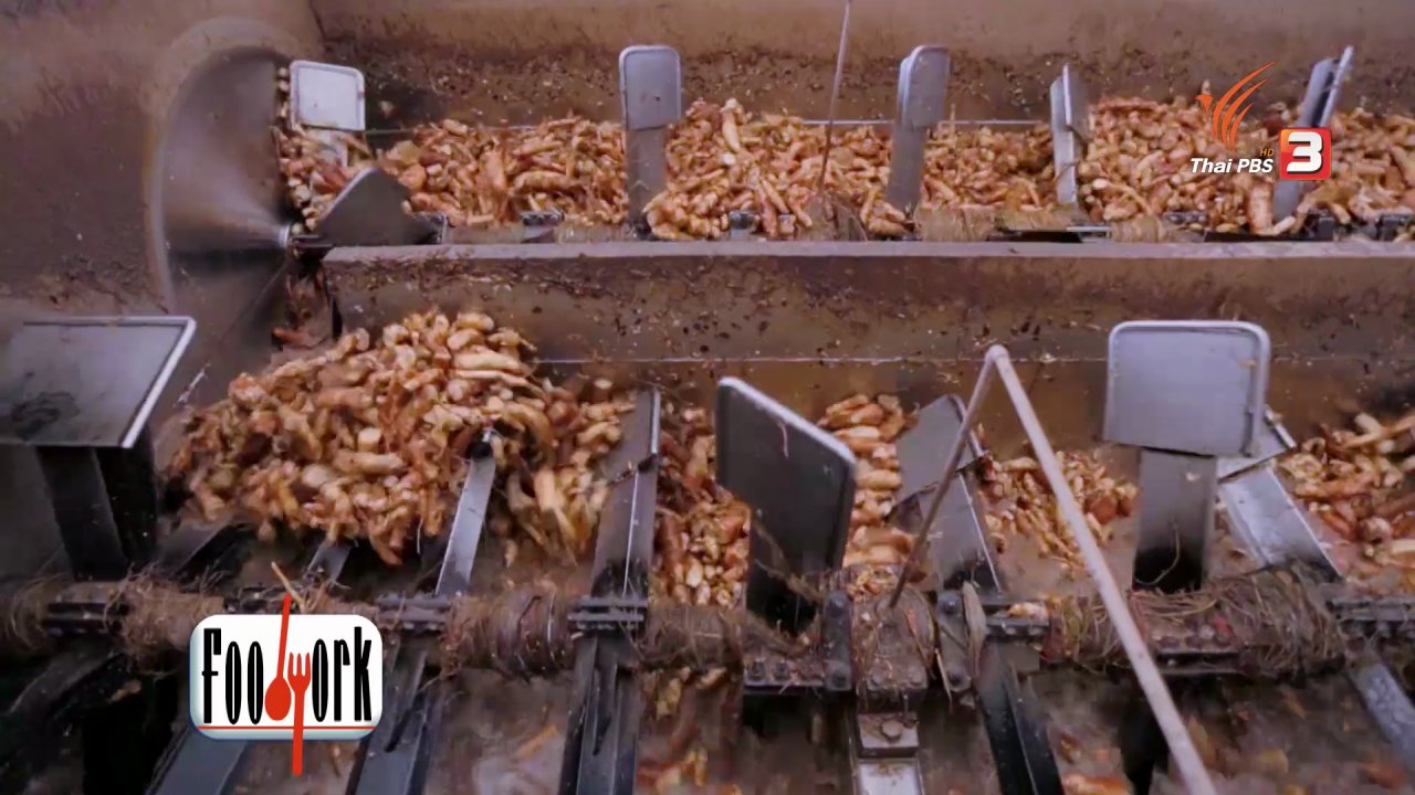 Foodwork - Foodwork : กรรมวิธี "แปรรูปมันสำปะหลัง" เป็นสารให้ความหวานแทนน้ำตาล