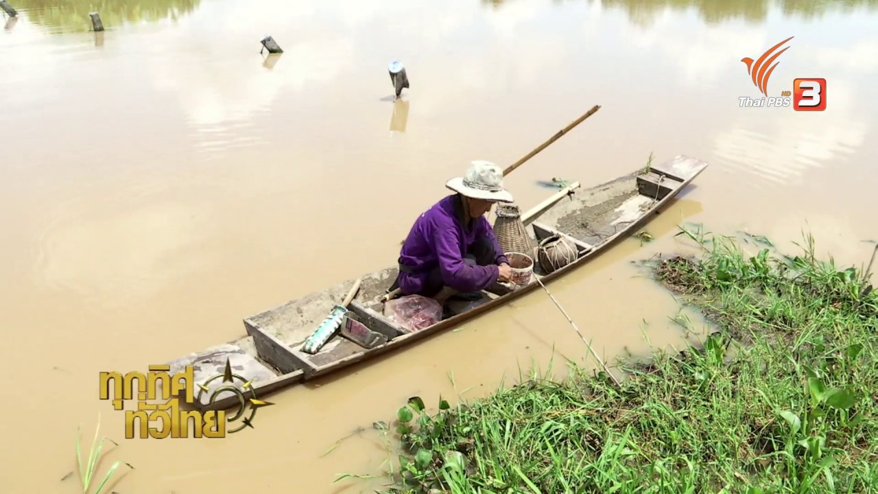 ทุกทิศทั่วไทย - วิถีทั่วไทย : ภูมิปัญญาพื้นบ้าน “วางเบ็ดปลาตี”