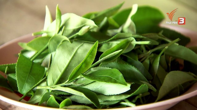 ตะลุยทั่วไทย : ใบเหน้ง