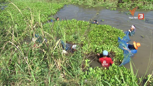 ตะลุยทั่วไทย : ปลาไหล