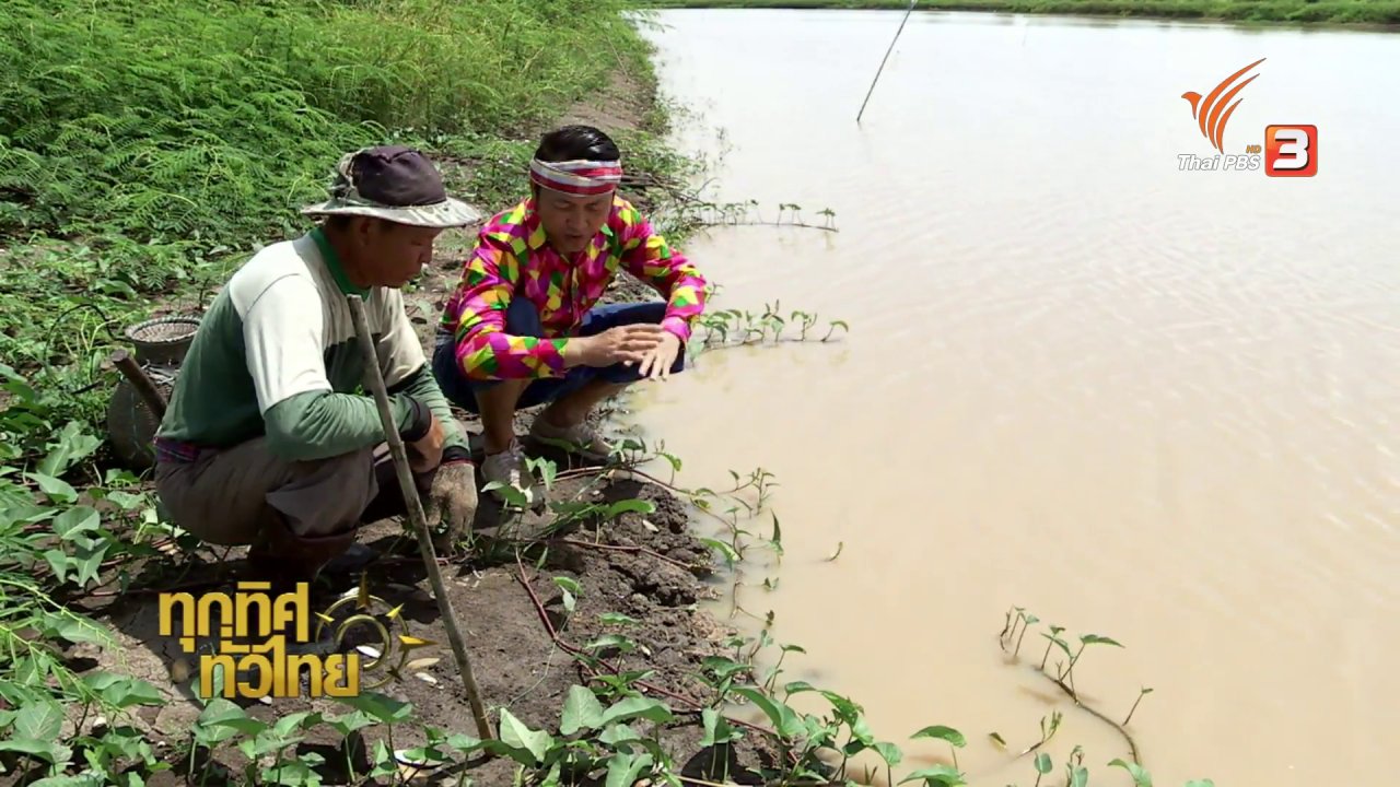 ทุกทิศทั่วไทย - วิถีทั่วไทย : อาหารพื้นบ้านจากปลาไหล อ.แม่จัน จ.เชียงราย