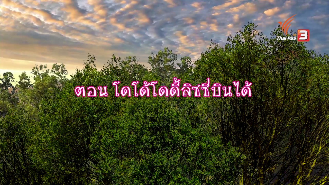 TataTitiToto ไดโนจอมป่วน - โดโด้โดดี้ลิซซี่บินได้