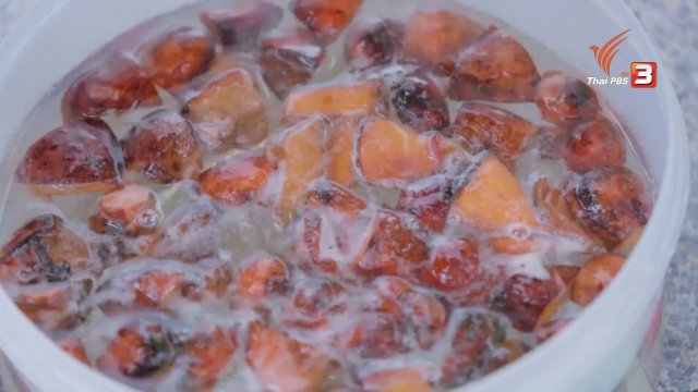 วิธีเก็บเห็ดตับเต่าให้นาน