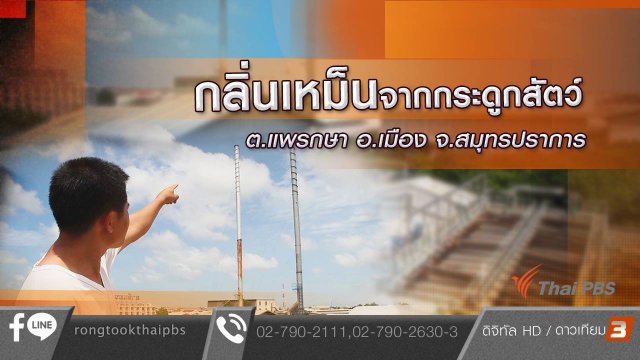 กลิ่นเหม็นจากกระดูกสัตว์ ต.แพรกษา อ.เมือง จ.สมุทรปราการ