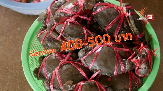 สายสืบเจาะตลาด : สำรวจราคาอาหารทะเล