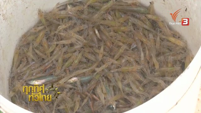 ประเด็นข่าว (1 ส.ค. 59)