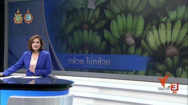 ที่นี่ Thai PBS : วิกฤตกล้วยแพง กระทบผู้ค้ากล้วยทอด กล้วยทับ