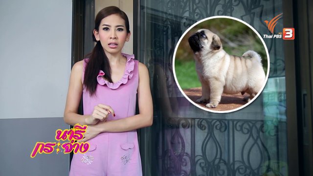 สุดยอดแม่บ้าน : วิธีป้องกันสุนัขและแมวฉี่ไม่เลือกที่