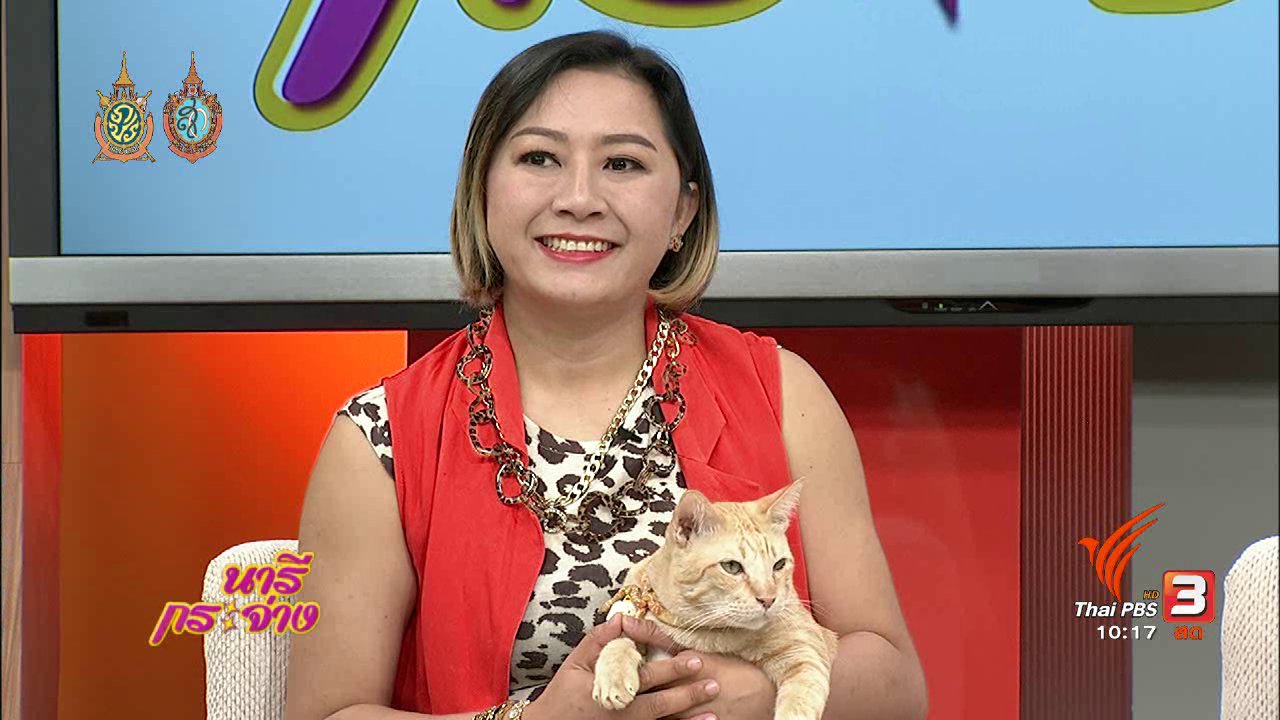 นารีกระจ่าง - Talk : ครอบครัวแมวป่วน "ทูนหัวของบ่าว"