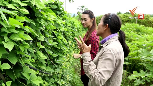 คนสู้โรค : บ้านเมืองรวง ต้นแบบวิถีเกษตรอินทรีย์