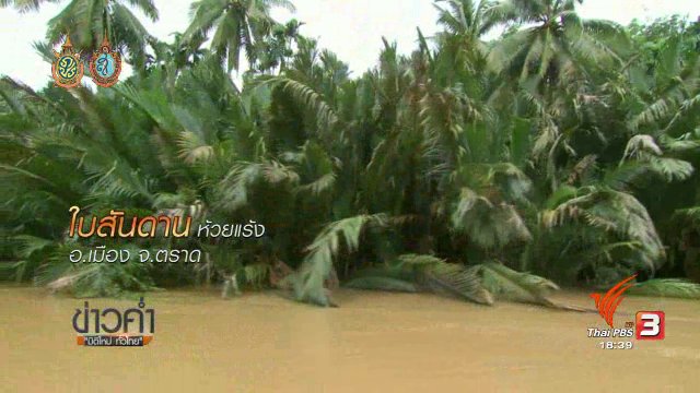 ตะลุยทั่วไทย : ใบสันดาน