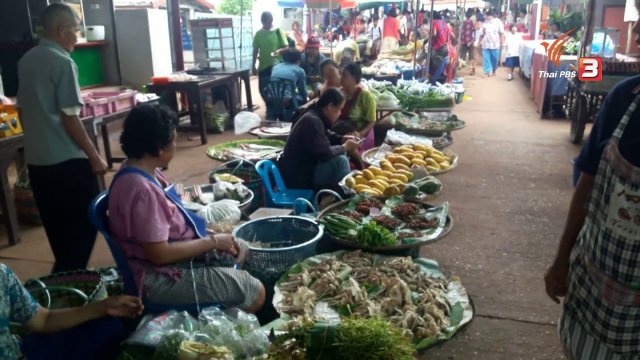 ประเด็นข่าว (15 ส.ค. 59)