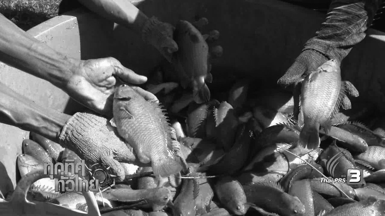 ประเด็นข่าว (31 ต.ค. 59)