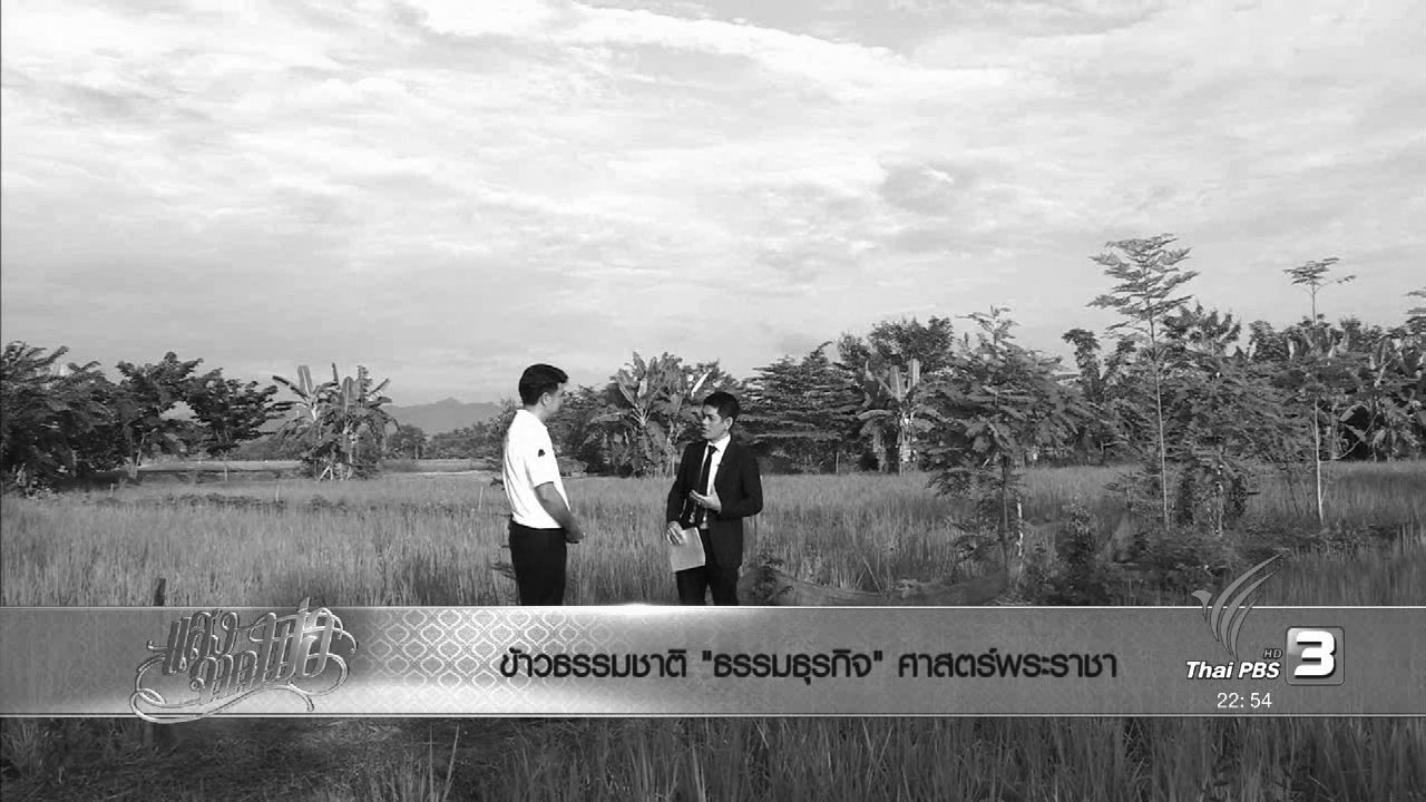 ตอบโจทย์ - ข้าวธรรมชาติ "ธรรมธุรกิจ" ศาสตร์พระราชา