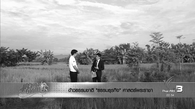 ข้าวธรรมชาติ "ธรรมธุรกิจ" ศาสตร์พระราชา