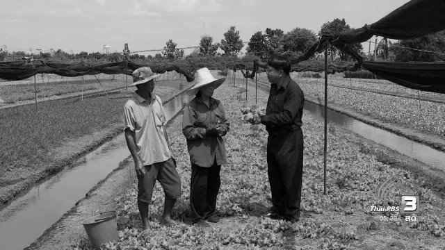 สายสืบเจาะตลาด : เกษตรกรผู้น้อมนำปรัชญาเศรษฐกิจพอเพียงมาปรับใช้