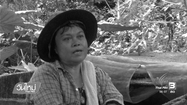 ตามรอยพ่อเศรษฐกิจพอเพียง