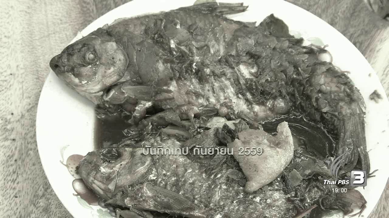 ตะลุยทั่วไทย : แหกระตุก