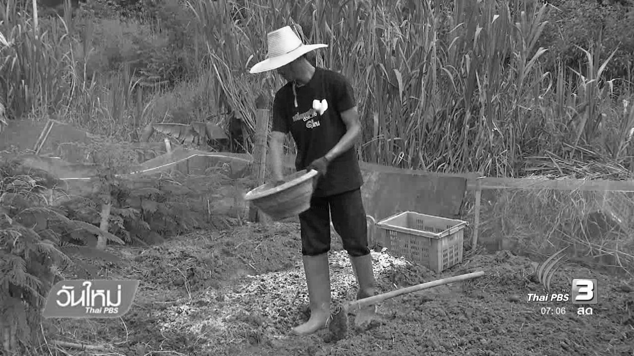 โครงการพระราชดำริแก้ปัญหาเรื่องดิน