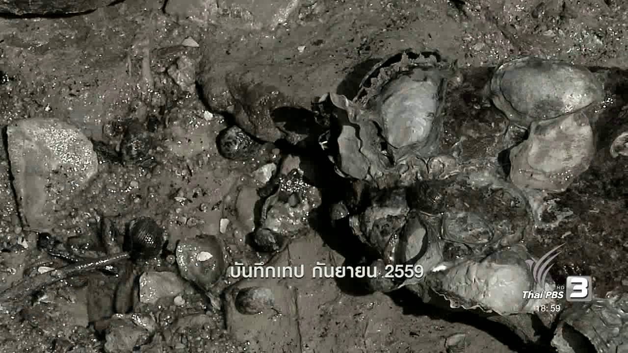 ข่าวค่ำ มิติใหม่ทั่วไทย - ตะลุยทั่วไทย : หอยน้ำพริก