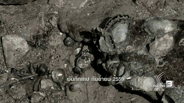 ตะลุยทั่วไทย : หอยน้ำพริก