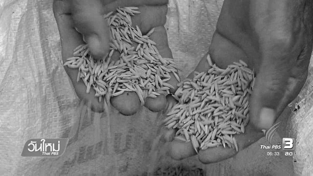 ข้อจำกัดชาวนาสีข้าวขายเอง