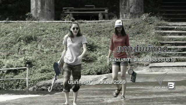 แกงส้มมังคุด