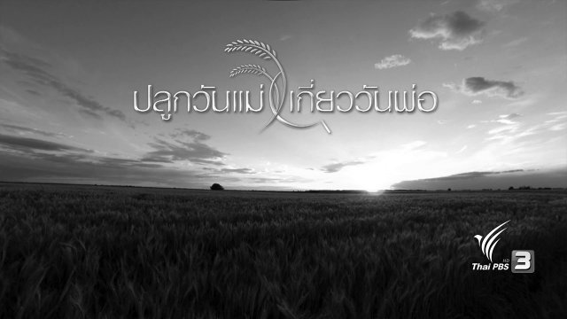 ข้าวเล้าแตก