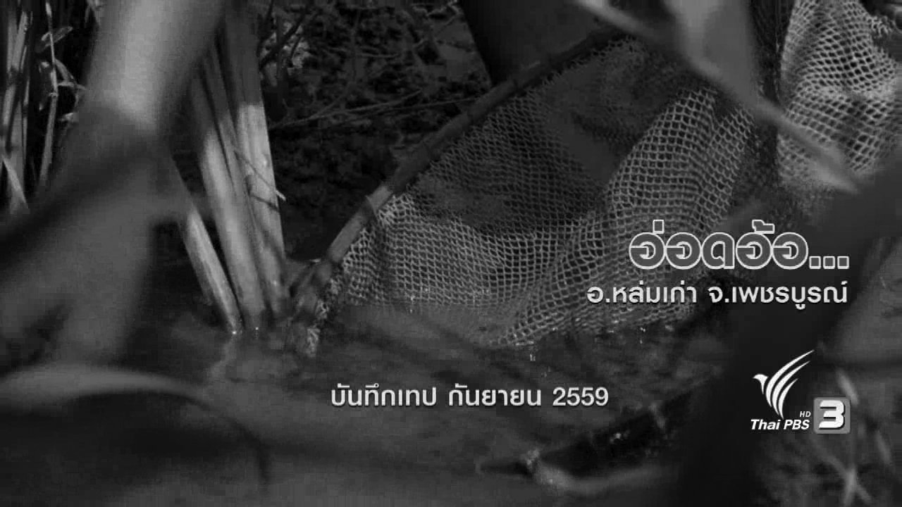 ข่าวค่ำ มิติใหม่ทั่วไทย - ตะลุยทั่วไทย : อ่อดอ้อ