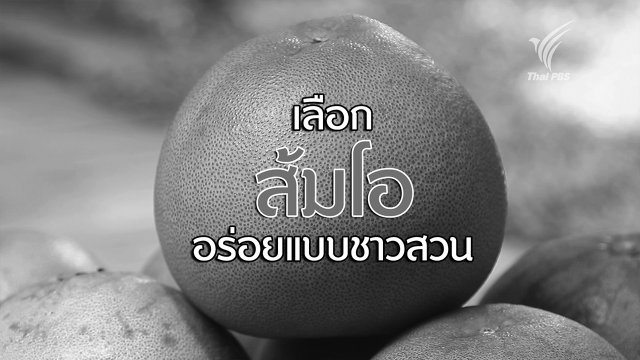 เลือกส้มโอให้อร่อย
