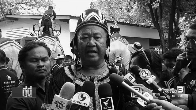 ช้างร่วมสักการะพระบรมศพฯ