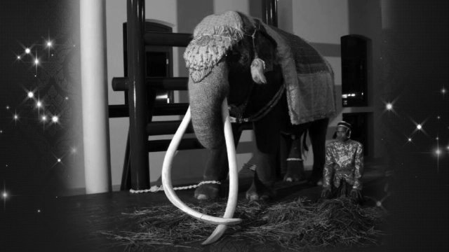 ประเด็นข่าว (9 พ.ย. 59)