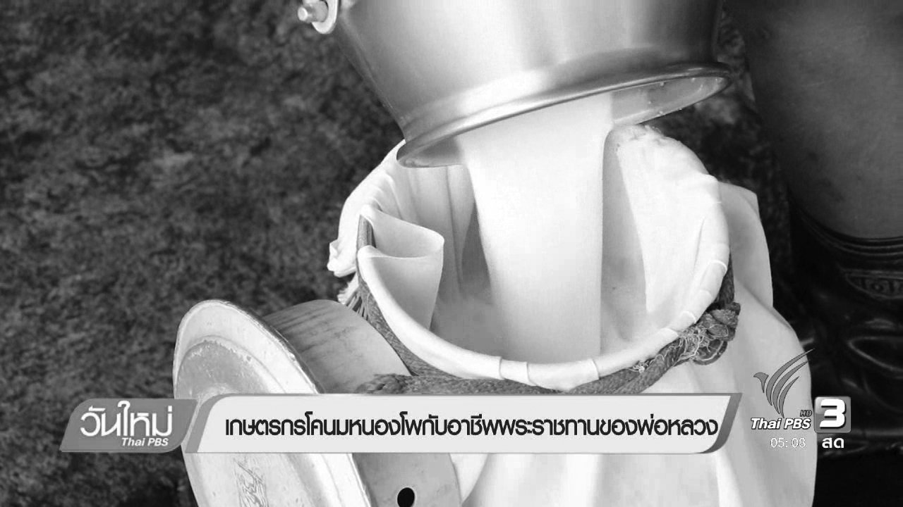 วันใหม่ ไทยพีบีเอส - เกษตรกรโคนมหนองโพกับอาชีพพระราชทานของพ่อหลวง