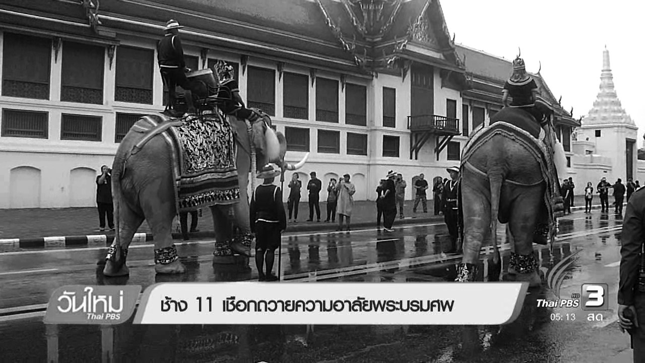 วันใหม่ ไทยพีบีเอส - ช้าง 11 เชือกถวายความอาลัยพระบรมศพ