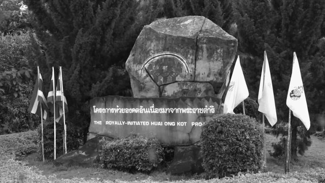 สารคดี : ฟื้นฟูป่าไม้