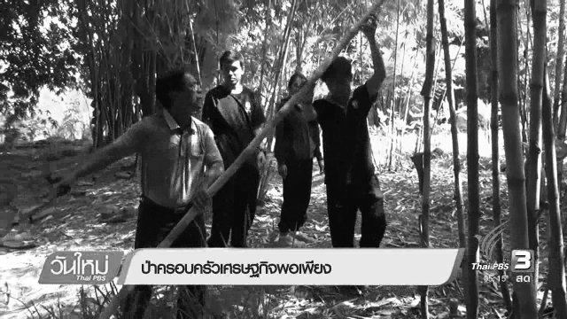 ป่าครอบครัวเศรษฐกิจพอเพียง